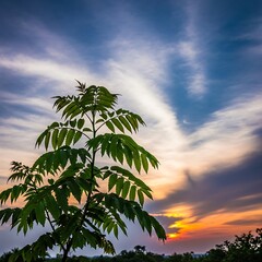 Tree Silhouette Against a Dramatic Sunset Sky - Natures Beauty Unveiled.