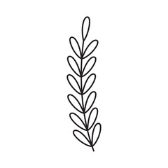 Minimalist black outline of a botanical sprig with multiple oval leaves arranged symmetrically on a transparent white background in a vertical orientation