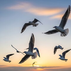 Seagulls Soaring at Sunset - A Symphony of Flight Against Golden Skies.