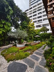 japanese garden in japan