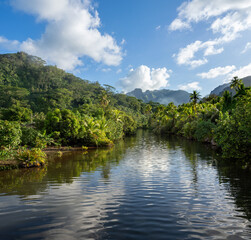 Fototapeta premium Penetrating deep into lush tropical forests with an outrigger boat, Faaroa River, Raiatea island, the only navigable river in French Polynesia, South Pacific Ocean.