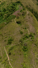 Aerial drone view of a winding hiking trail on a mountain peak covered with grass and small trees in Central Sulawesi, Indonesia