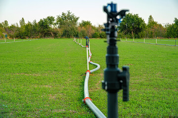 Irrigation system with sprinklers arranged in a green agricultural field. Demonstrating modern...