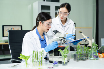 Fototapeta premium Two Asian women scientists analyzing lettuce in a lab flask. Real people, food safety, organic plant testing, scientific research, and clean lab inspection concept.