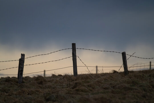 Old barb wire fence in winter light, Orkney Islands, Scotland
