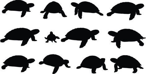 Silhouette collection of turtles and tortoises walking and resting, wildlife nature concept, reptile animal illustration, slow movement, sea life art
