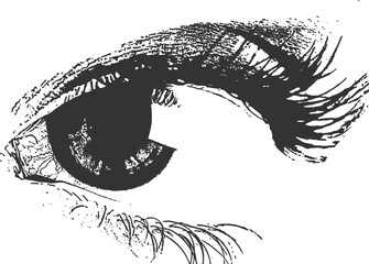 Web