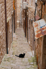 Narrow Stone Alley with Long Staircase and Resting Cat in Dubrovnik, Croatia