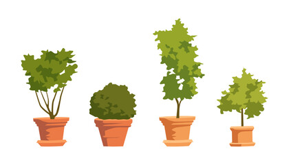 Set of green potted plants in flat vector style