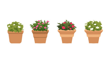 Set of cute potted plants illustration in flat style