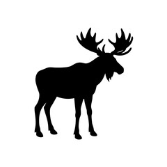 Fototapeta premium Silhouette of a standing moose art on transparent background
