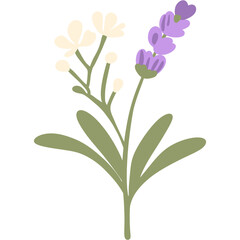 Fototapeta premium Boho Lavender Dreams