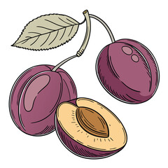 Two whole plums and one halved plum with leaf fruit 1