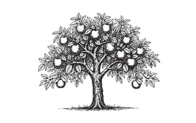 Apple Tree, Orchard Tree Laden with Ripe Apples and Foliage