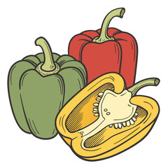 Red green and yellow bell peppers illustration capsicum