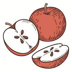 Two whole apples and one cut apple with seeds fruit 2