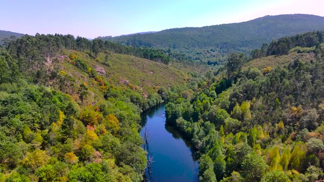 Tropical Forest Mountains With River Lerez Through Campo Lameiro In Galicia, Spain. Aerial Pullback Shot