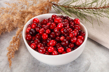 Ripe sweet sour cranberry heap