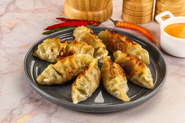 Japanese fried Gyoza stuffed dumplings