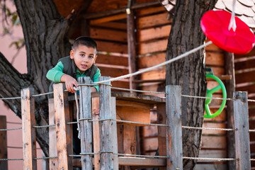 Boy playing in treehouse, enjoying childhood outdoor fun