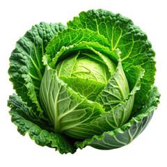 Obraz premium Vivid close-up of a fresh, vibrant green cabbage