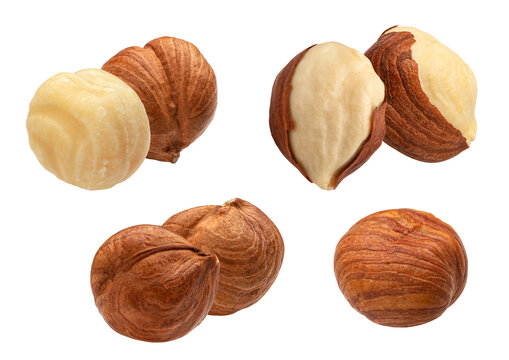 still life photograph of several hazelnuts, featuring two types: whole nuts with brown skin and blanched peeled kernels, on dark background.