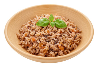 Isolated bowl of wild rice with apricots and basil, savory grains vegetarian dish, healthy meal