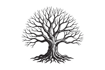Bare Tree, Old, Leafless Oak Tree with Wide, Spreading Branches and Exposed Roots engraving vector illustration