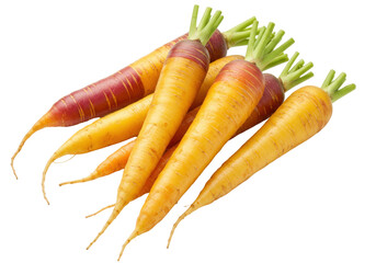 Isolated Bunch of Fresh Baby Carrots Ready to Eat Delicious Orange Root Vegetables Food