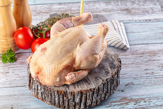 Raw whole uncooked organic chicken