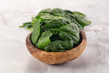 Raw green baby spinach plant