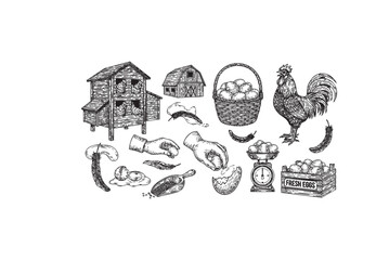 Farm Products Set, Rooster, Chicken Coop, Eggs, Vegetables, and Hand Harvesting in a Vintage Style