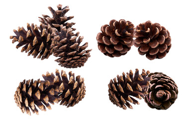 a high-detail photograph presenting four compact clusters of brown pine cones, emphasizing dense...