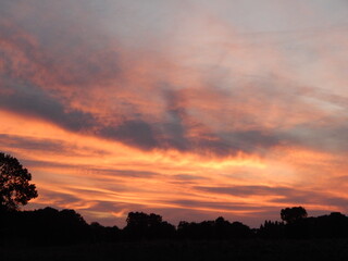 Photographie poétique de coucher de soleil aux tons pastel, avec des nuages légers et cotonneux baignant dans une lumière rose et dorée. Image apaisante idéale pour les projets liés à la nature.