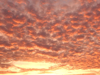 Photographie poétique de coucher de soleil aux tons pastel, avec des nuages légers et cotonneux baignant dans une lumière rose et dorée. Image apaisante idéale pour les projets liés à la nature.