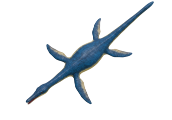 Isolated Plesiosaur marine reptile with long neck and paddle like limbs of Jurassic period