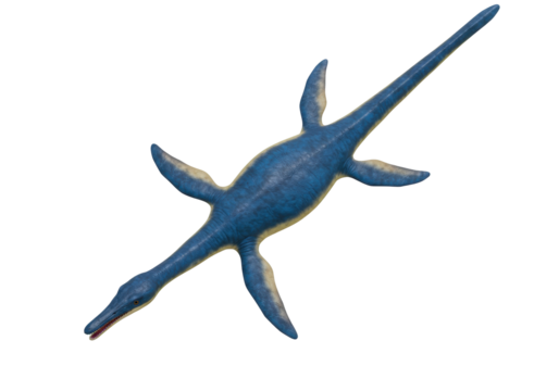 Isolated Plesiosaur marine reptile with long neck and paddle like limbs of Jurassic period