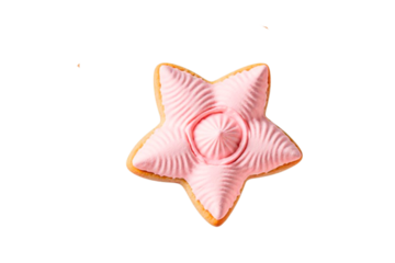 cookies star on white background