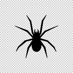 Halloween spider decoration flat vector icon isolated on transparent background