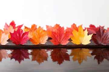 Vibrant autumn leaves in various shades of red, orange, and yellow are beautifully arranged on a dark, reflective wooden surface.