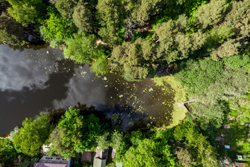 Aerial view of a narrow pond. Dark water reflects cloudy sky, partially covered by lush duckweed and algae. A small wooden pier extends into the water from the bank