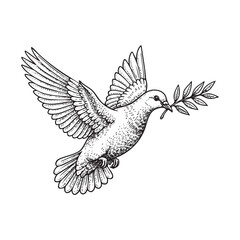 Dove with Olive Branch engraving vector illustration