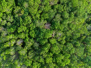 Naklejka premium Beautiful morning view indonesia Panorama Landscape paddy fields with beauty color and sky natural light