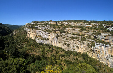 Obraz premium falaise; garrigue; region Lanquedoc Roussillon; Minerve; 34, Hérault, France