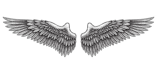 Angel Wings Spreading, Feathered Wings engraving vector illustration © trianatio
