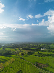 Obraz premium Beautiful morning view indonesia Panorama Landscape paddy fields with beauty color and sky natural light