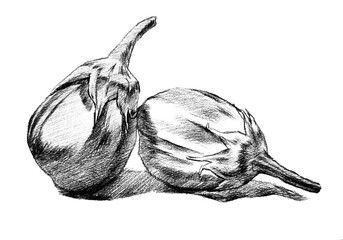 eggplant hand drawing engraving illustration isolated on white background	
