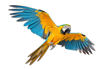 blue and yellow parrot flying isolated on white or transparent png