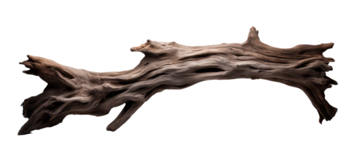 dark dead driftwood piece isolated on white or transparent png