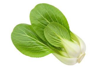 Fresh bok choy isolated PNG, Chinese cabbage with green leaves and white stems for healthy eating and Asian cuisine